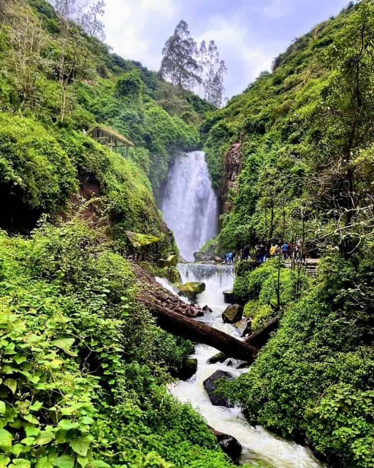 Beautiful waterfall surrounded by lush green forest
