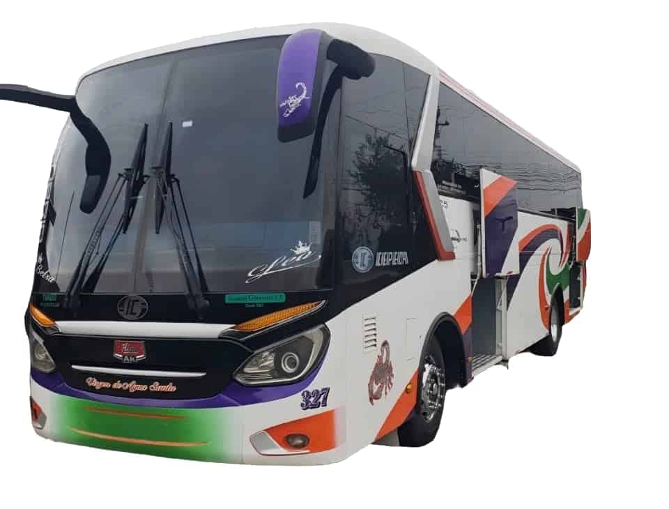 Modern long-distance passenger bus on white background